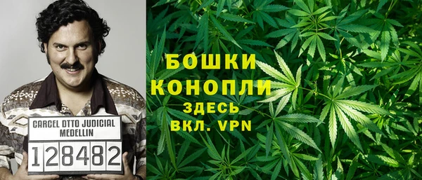 мет Алексин