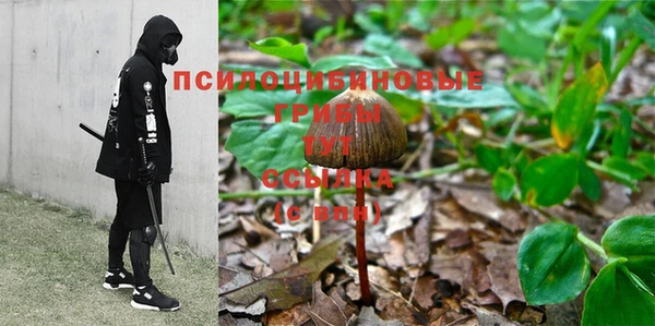 jwh Алзамай