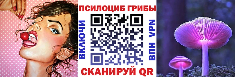 Псилоцибиновые грибы Cubensis  купить наркоту  Боровичи 